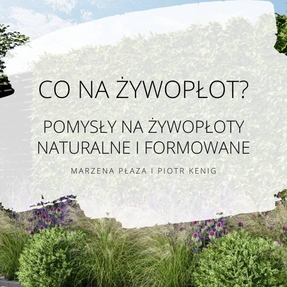 Po na żywopłot?