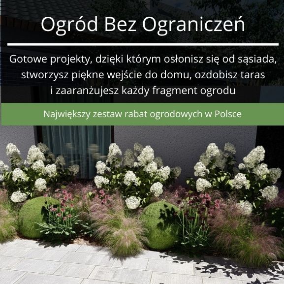 Gotowe rabaty ogrodowe do samodzielnego wykonania