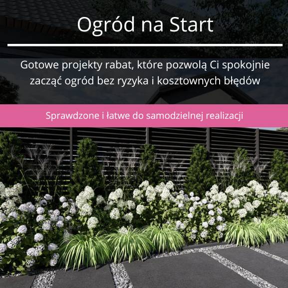 Ogród na sstart